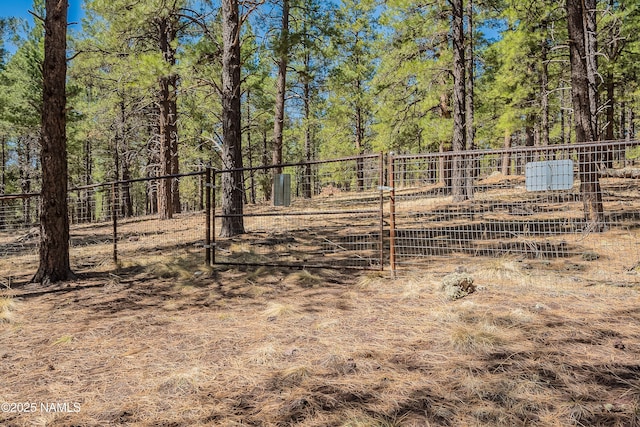 1533 S Minstrel Ln, Williams, AZ 86046 - view of yard