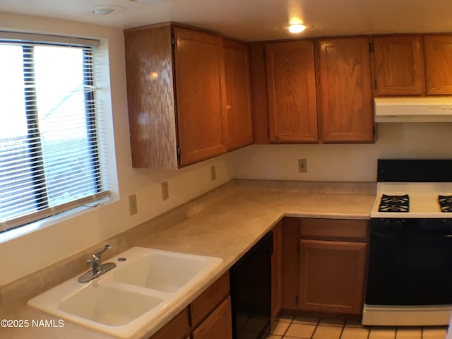 2157 E Arroyo Seco Dr, Flagstaff, AZ 86004 - kitchen featuring sink, black dishwasher, extractor fan, built in desk, and gas stove