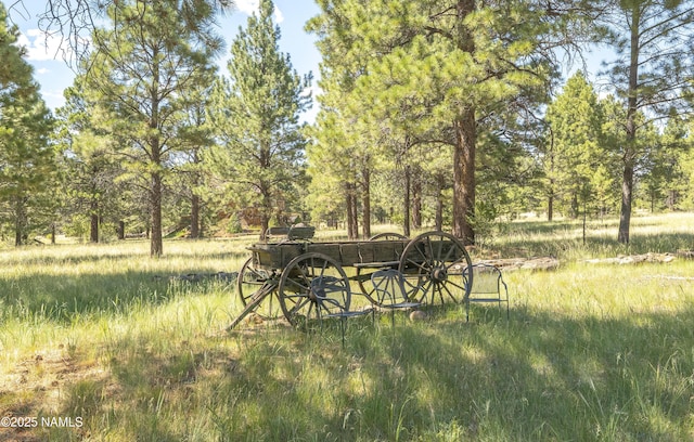13898 Alpenglow Rd, Flagstaff, AZ 86001 - photo 28