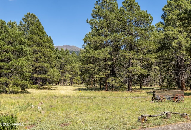 13898 Alpenglow Rd, Flagstaff, AZ 86001 - photo 30