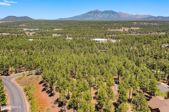 3630 S Lariat Loop Unit 30, Flagstaff, AZ 86005
