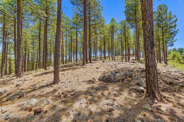 3630 S Lariat Loop Unit 30, Flagstaff, AZ 86005