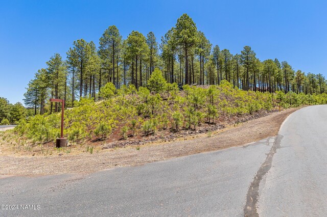 3630 S Lariat Loop Unit 30, Flagstaff, AZ 86005