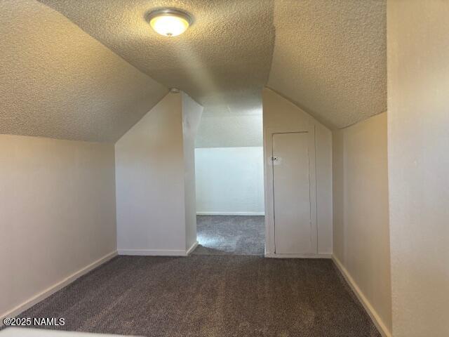 additional living space with carpet, baseboards, vaulted ceiling, and a textured ceiling