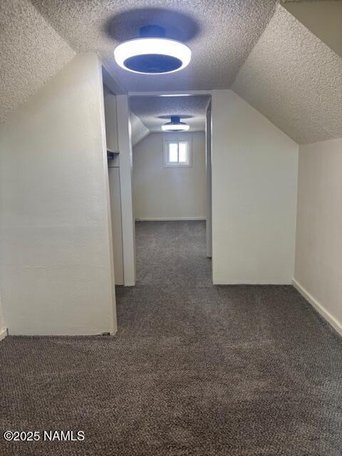 additional living space with carpet and a textured ceiling