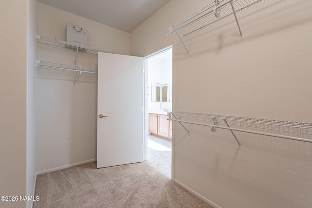 walk in closet featuring light carpet