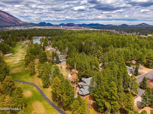 1451 N Mariposa Rd, Flagstaff, AZ 86004 - aerial view of a mountain backdrop and a forest