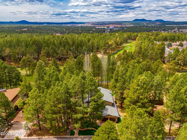 1451 N Mariposa Rd, Flagstaff, AZ 86004 - bird's eye view of a forest and a mountainous background