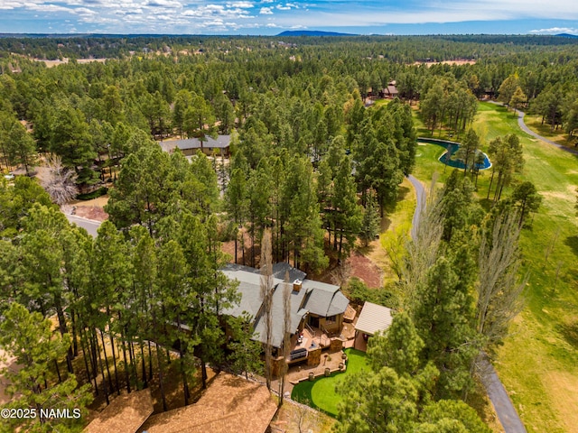 1451 N Mariposa Rd, Flagstaff, AZ 86004 - drone / aerial view of a forest