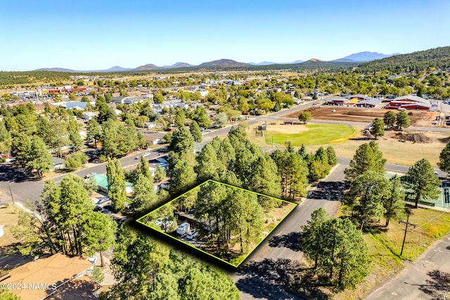 1030 W Hancock Ave, Williams, AZ 86046 - photo 39
