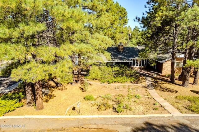 1030 W Hancock Ave, Williams, AZ 86046 - photo 35