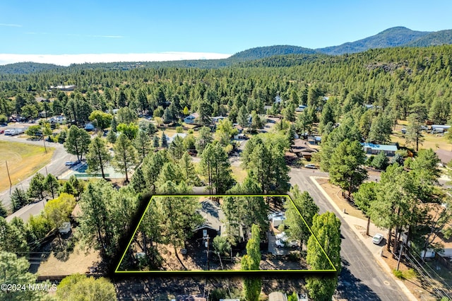 1030 W Hancock Ave, Williams, AZ 86046 - photo 42