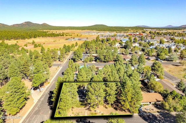 1030 W Hancock Ave, Williams, AZ 86046 - photo 38