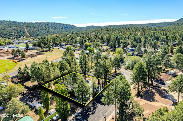 1030 W Hancock Ave, Williams, AZ 86046 - photo 41