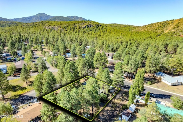 1030 W Hancock Ave, Williams, AZ 86046 - photo 43