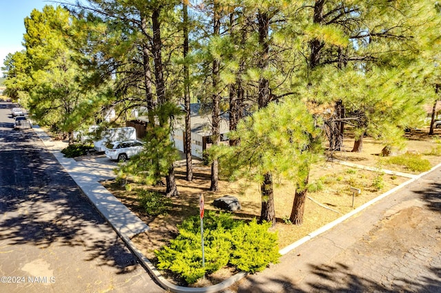 1030 W Hancock Ave, Williams, AZ 86046 - photo 34