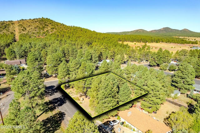 1030 W Hancock Ave, Williams, AZ 86046 - photo 45