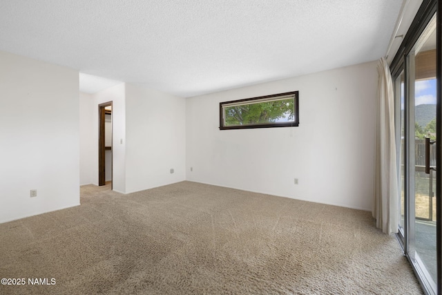 3420 W Wilson Dr, Flagstaff, AZ 86001 - photo 32