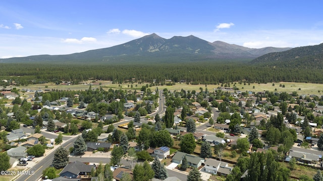 3420 W Wilson Dr, Flagstaff, AZ 86001 - photo 10
