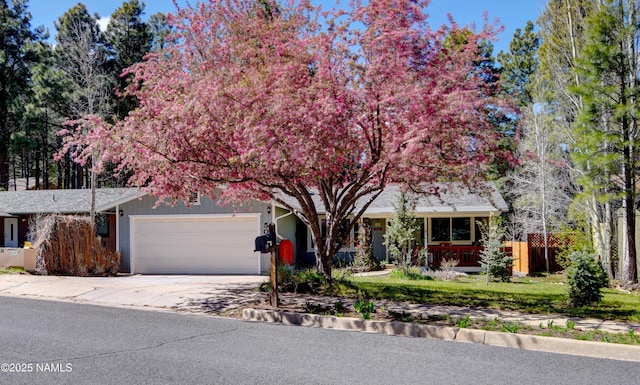506 E Bennett Dr, Flagstaff, AZ 86005 - photo 1