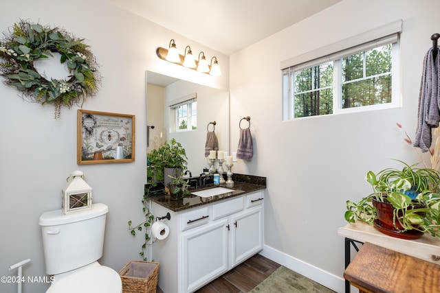 bathroom featuring vanity, hardwood / wood-style flooring, and toilet