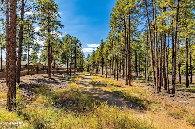 view of local wilderness