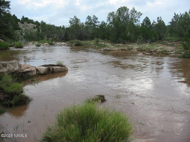 7709 W Painted Rock Trl, Williams, AZ 86046 - view of water feature