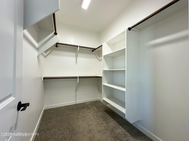 walk in closet featuring dark colored carpet