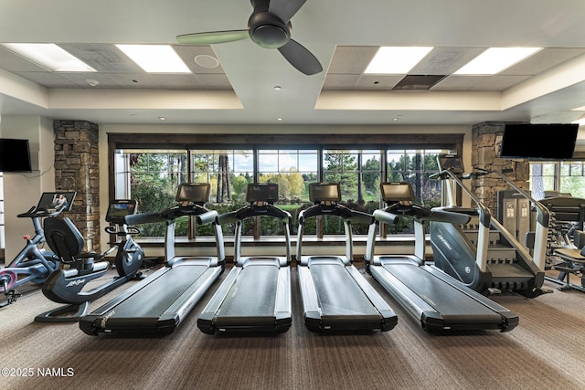 2047 E Del Rae Dr Unit 163, Flagstaff, AZ 86005 - gym with a tray ceiling, carpet, and ceiling fan