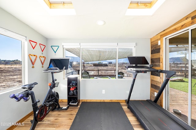 workout area featuring wood finished floors, baseboards, and plenty of natural light