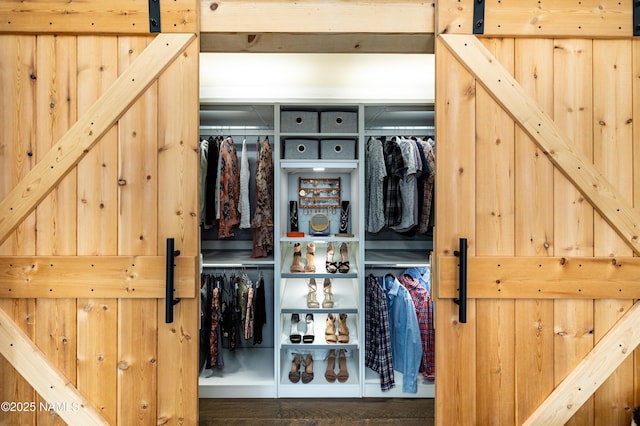 view of closet