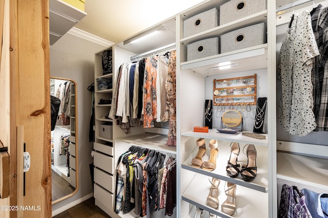 spacious closet with wood finished floors