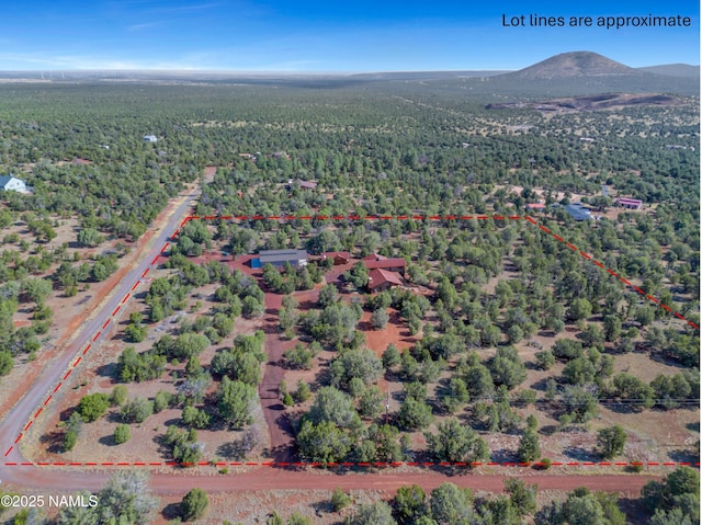 drone / aerial view with a mountain view