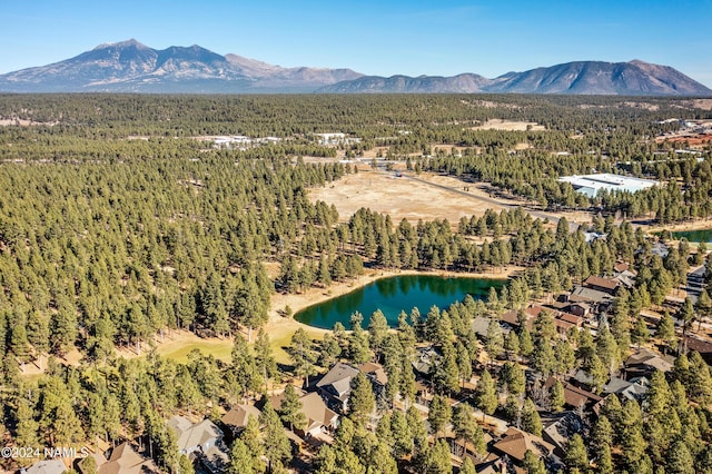 drone / aerial view featuring a water and mountain view