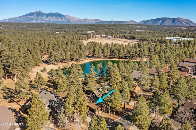 drone / aerial view featuring a water and mountain view