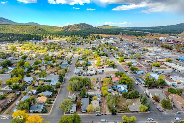 drone / aerial view with a mountain view