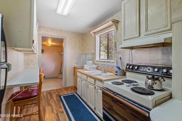 kitchen with sink, wood-type flooring, and white electric stove