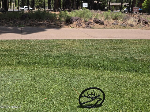 3515 Lariat Loop, Flagstaff, AZ 86005 - view of grassy yard