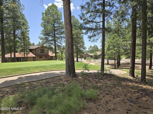 3515 Lariat Loop, Flagstaff, AZ 86005 - view of grassy yard