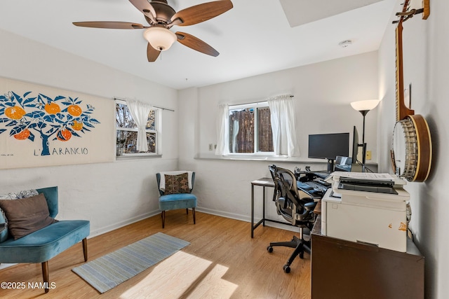 office space with light hardwood / wood-style floors and ceiling fan