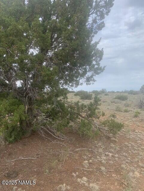 3864 Mohave Trl, Williams, AZ 86046
