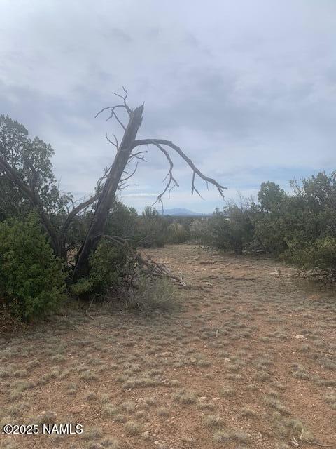 3864 Mohave Trl, Williams, AZ 86046