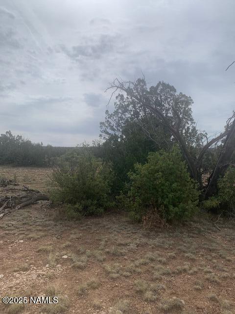 3864 Mohave Trl, Williams, AZ 86046