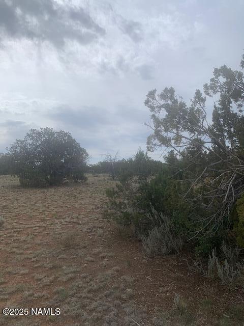 3864 Mohave Trl, Williams, AZ 86046
