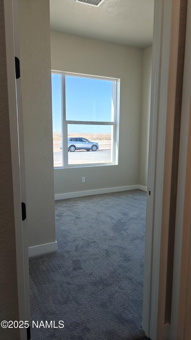 unfurnished room with carpet