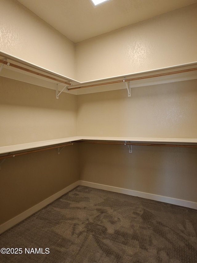 walk in closet with carpet