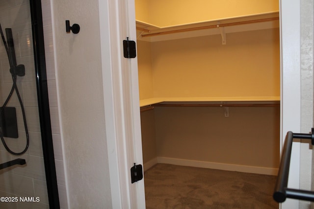 bathroom featuring walk in shower