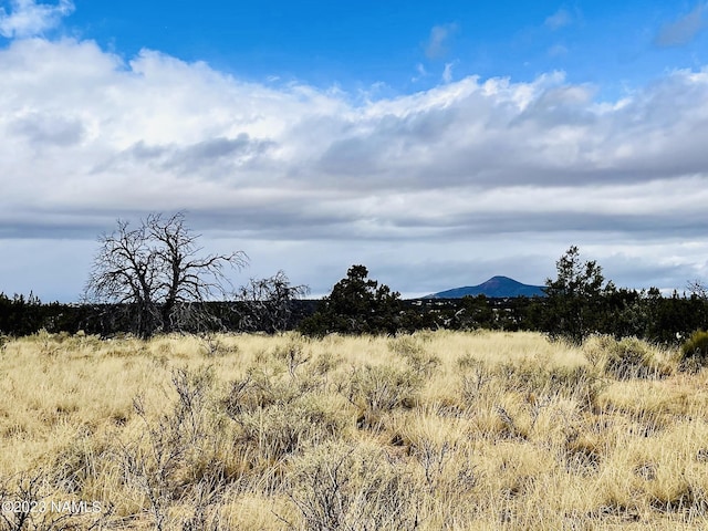 Listing photo 3 for 2433 E Woodland Ranch Rd, Williams AZ 86046