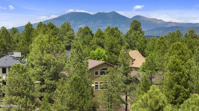 1248 W Lil Ben Trl, Flagstaff, AZ 86001 - view of mountain backdrop featuring a heavily wooded area