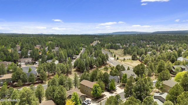 1248 W Lil Ben Trl, Flagstaff, AZ 86001 - aerial perspective of suburban area featuring a forest